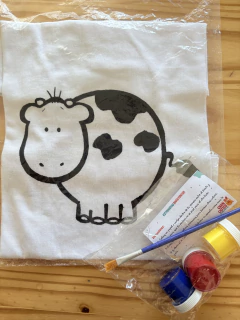 Imagen de Kit de Remeras para Pintar