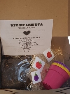Kit de Huerta en internet