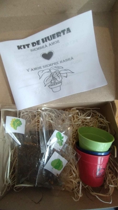 Kit de Huerta - Chanchitos Pochocleros