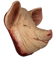 Cabeza de cerdo decorativa en internet