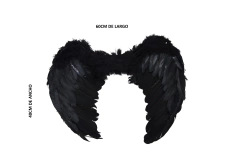 ALAS DE PLUMA - comprar online