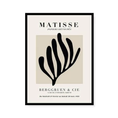 Cuadro Matisse (30x40)