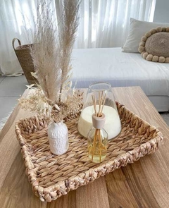 Bandeja - tienda online