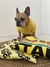 Conjunto Buzo+Remera para perro Star Dog - comprar online