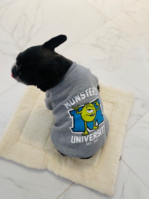 Conjunto Buzo+Remera para perro Mike