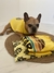 Buzo para perro Star Dog - tienda online