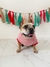Remera para perro Rayada Roja - tienda online