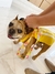 Correa para perro Camuflado - Tienda Via