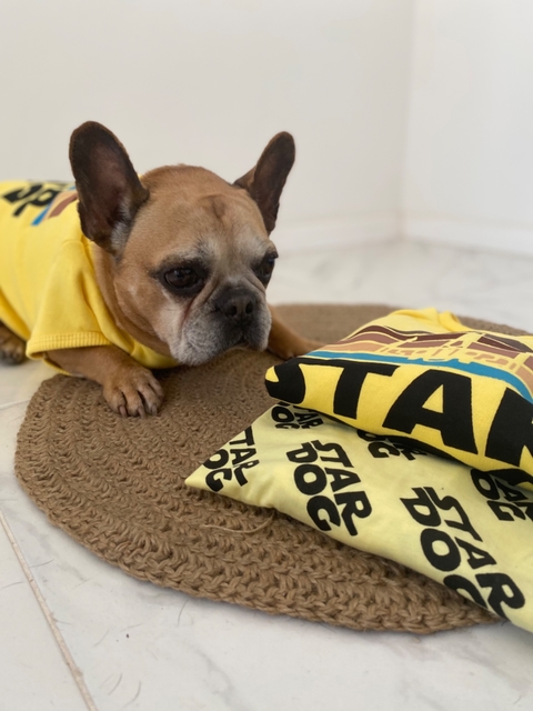 Conjunto Buzo+Remera para perro Star Dog