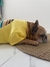 Buzo para perro Star Dog en internet