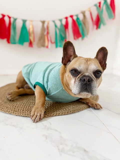 Remera para perro Rayada Verde