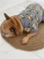 Conjunto Buzo+Remera para perro Lion King en internet