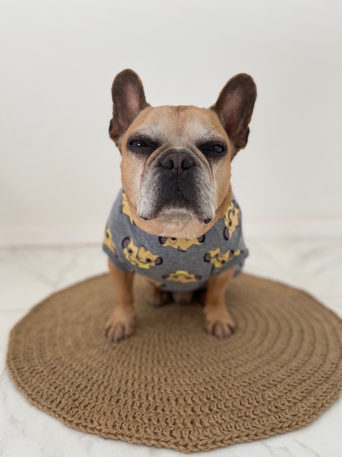 Remera para perro Lion King