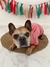 Remera para perro Rayada Merry - Tienda Via