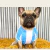 Banner de Tienda Via