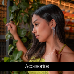 Banner de la categoría Accesorios