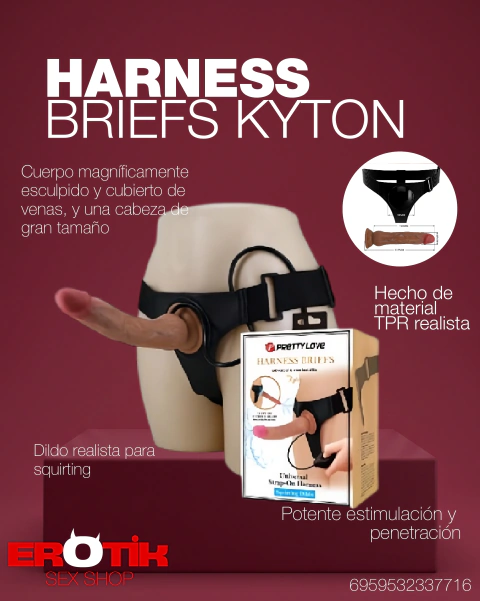 ARNESS BRIEFS KYTON