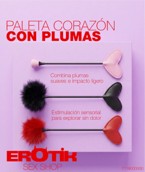 PALETA CORAZON CON PLUMAS