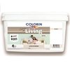 Colorin Living Latex Blanco Interior Lavable X10 Lts Blanco en internet