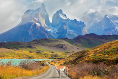 PATAGONIA ADVENTURE MOTORCYCLE TOUR
