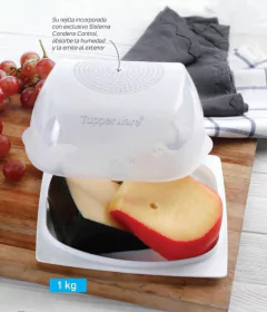QUESERA INTELIGENTE 1KG TUPPERWARE