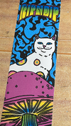 Lixa Ripndip