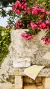 Imagen de Bolso COUTURE