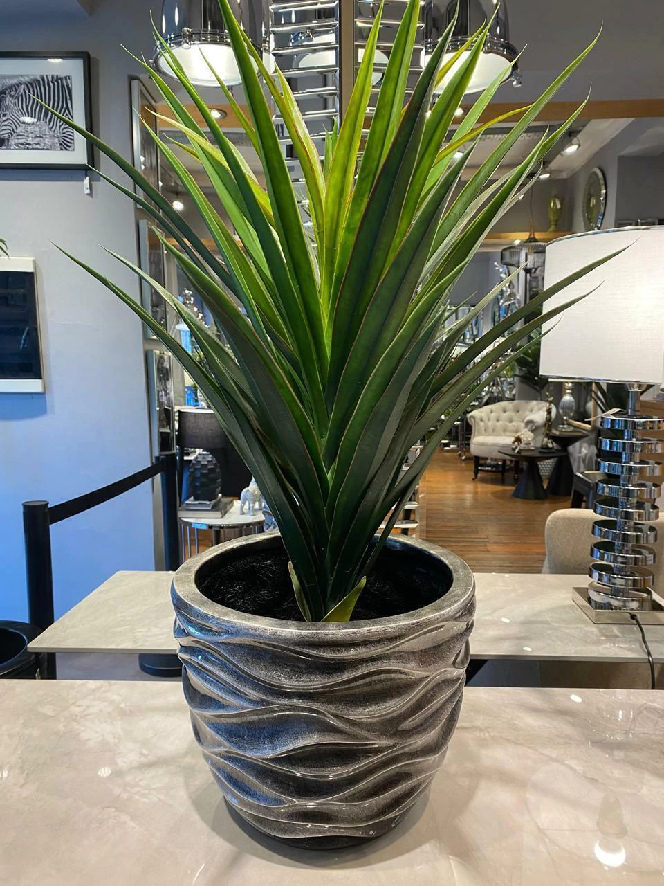 Portamaceta en poliresina S grafito