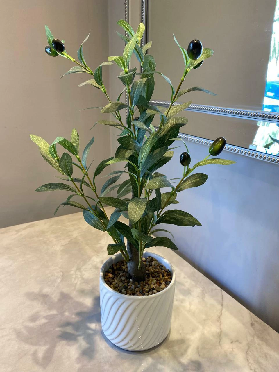 Olivo en maceta cerámica