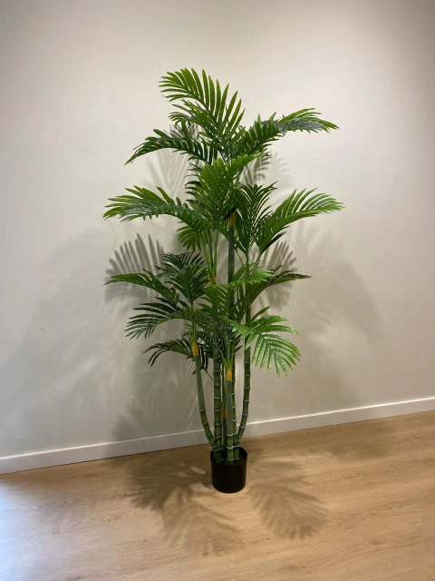 Planta Tropical Biggy 1.50 metros
