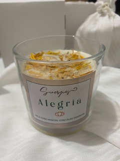 Vela Sinergias Alegria - comprar online