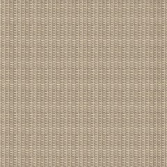 PAPEL DE PAREDE TEXTURA PALHA DIPLOMATA3114 na internet