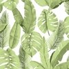 PAPEL DE PAREDE ATEMPORAL FOLHAGEM 3702