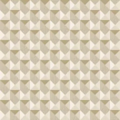 PAPEL DE PAREDE ATEMPORAL GEOMÉTRICO 3705