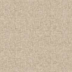 PAPEL DE PAREDE ATEMPORAL TEXTURA 3715