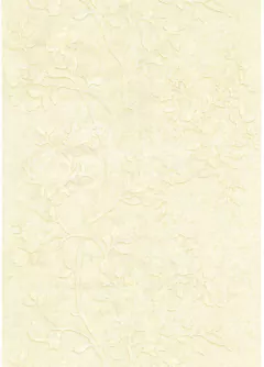 PAPEL DE PAREDE ARABESCO CAVALLI RC12005 na internet