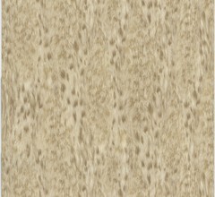 PAPEL DE PAREDE ANIMAL PRINT CAVALLI RC14065 na internet