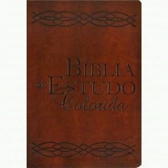 BÍBLIA DE ESTUDO COLORIDA - loja online