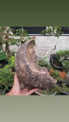Vaso cerâmico FujiPot alta queima estilo kurama 24Cm - FujiBonsai