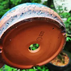 Vaso cerâmico FujiPot alta queima esmaltado A6x20Cm - FujiBonsai