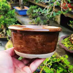 Vaso cerâmico FujiPot alta queima esmaltado A6x13cm