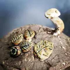 Casinha de cerâmica A12x12x12Cm - loja online