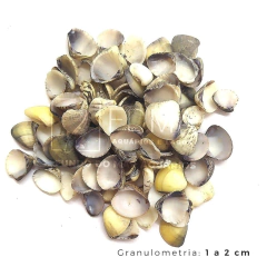 Substrato Aragonita nº00 1kg - comprar online