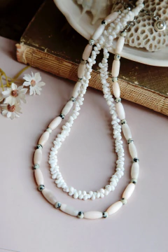 Collar Belice en internet