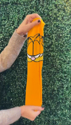 Medias Garfield en internet