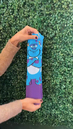 Medias - Sullivan Monsters Inc en internet