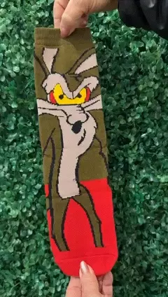 Medias Correcaminos-Coyote en internet