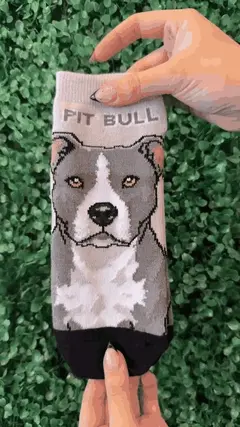 Soquetes Pet Lovers - Pitbull - comprar online