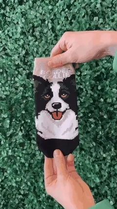 Soquetes Pet Lovers - Border Collie - comprar online