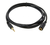 CABLE AUDIO EXTENSOR MINIPLUG 1.5M - comprar online